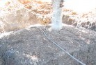 Black Springs NSWtree-transplanting-4.jpg; ?>